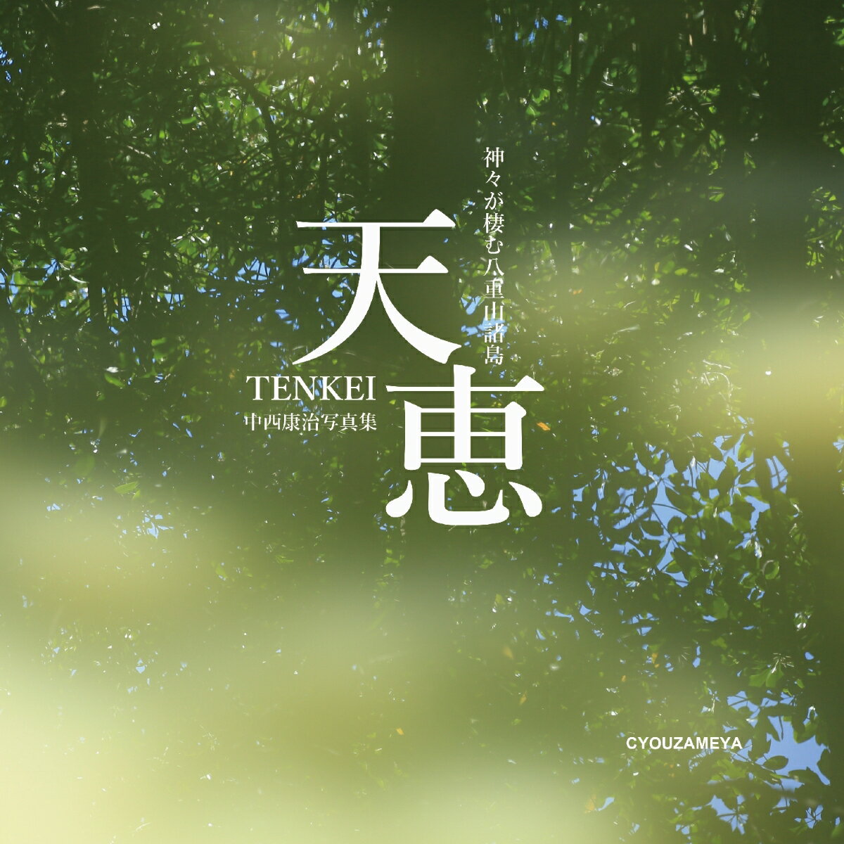 楽天市場】月曜社 写真よさようなら/月曜社/森山大道 | 価格比較