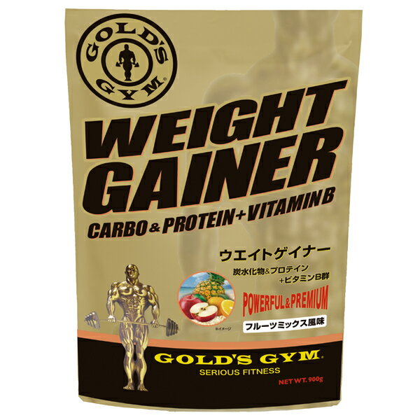 GOLD'S GYM ウエイトゲイナー 900g
