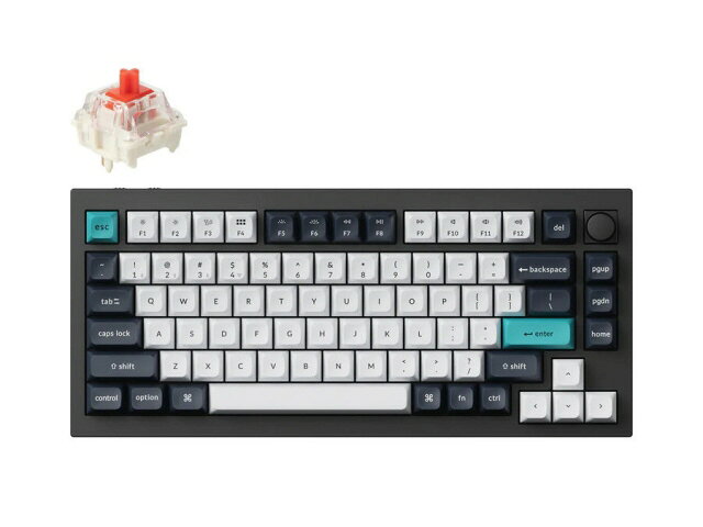 楽天市場】Keychron｜キークロン テンキー Q0 Max バナナ軸 Mac