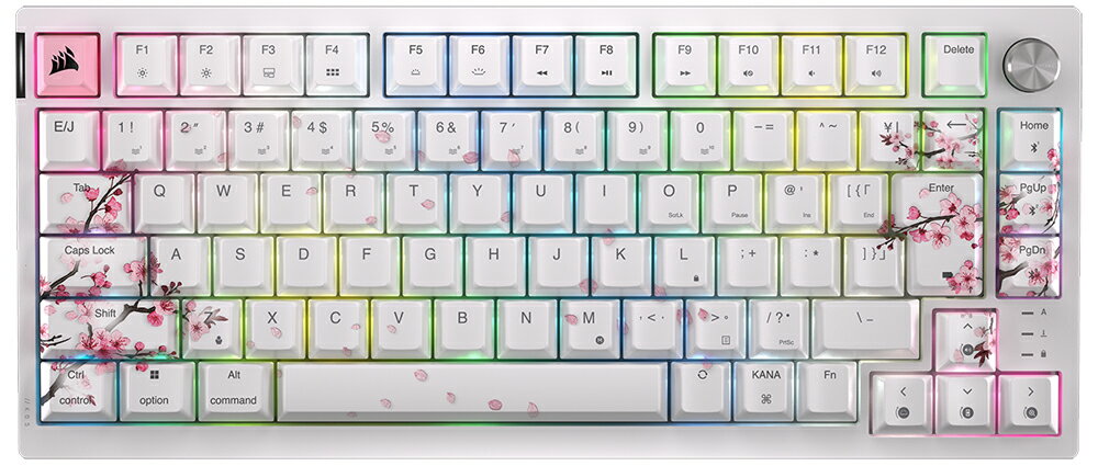 CORSAIR キーボード CH-91D431E-JP