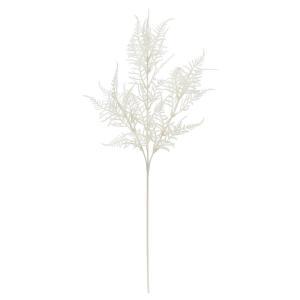 ASCA アスカ アスパラガスファーン A-44538-011