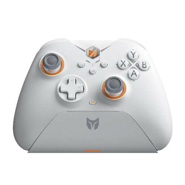 BIGBIG WON ゲームコントローラー GALE HALL COMBO GRAY