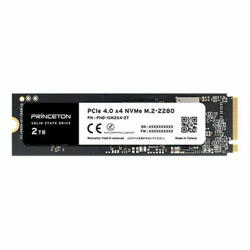Princeton SSD PHD-ISM2G4-2T