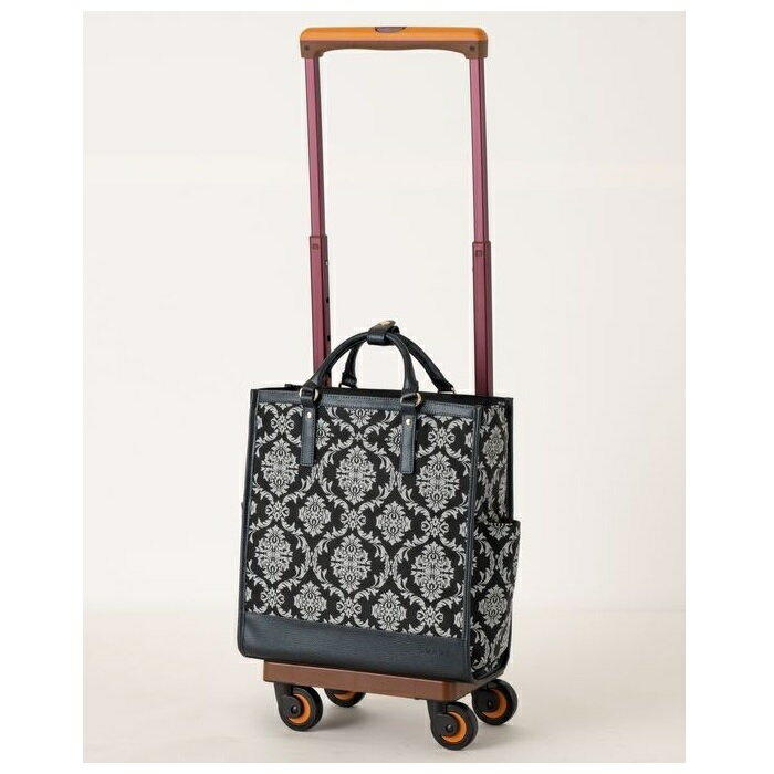 ✨美品✨ スワニー キャリーバッグ D-574 ルバンドIII ブラック 19L Amazon | [Swany] [スワニー] D-574 ルバンドIII (L21) ブラック