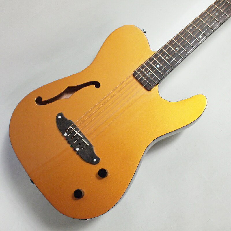 楽天市場】石橋楽器店 CCAN2EC-BB コールクラーク Cole Clark | 価格