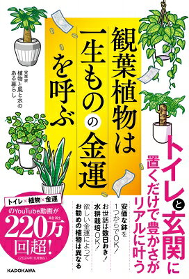 観葉植物