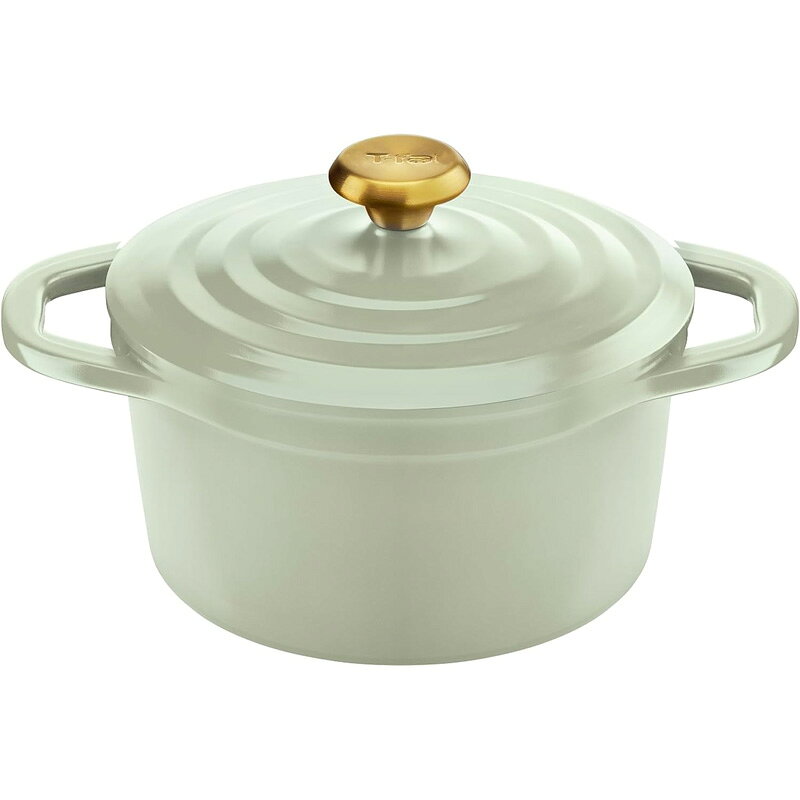 ティファール T-fal 鍋 キャストライン エアココット セージグリーン IHココット鍋 20cm E26744
