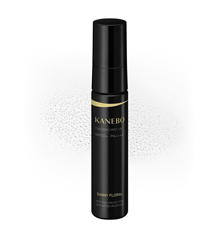楽天市場】カネボウ化粧品 kanebo(カネボウ) 薬用紫電改 Z 220ml