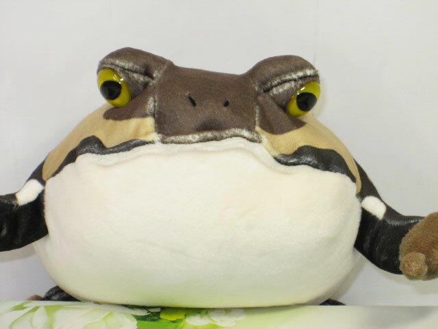 楽天市場】赤目アマガエル ぬいぐるみ アカメアマガエル かえる