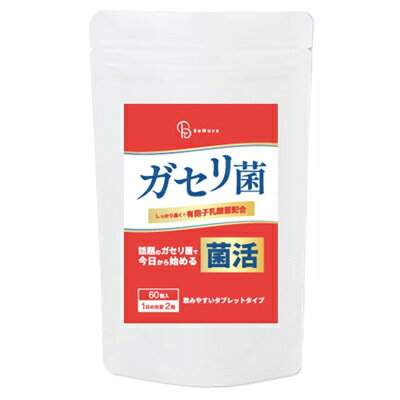 お盆値下げ❣️生命科学研究所いのちの幹2セット 厳選 八ツ房コウチョウギ SAGA02/盆栽、多肉植物、塊根植物
