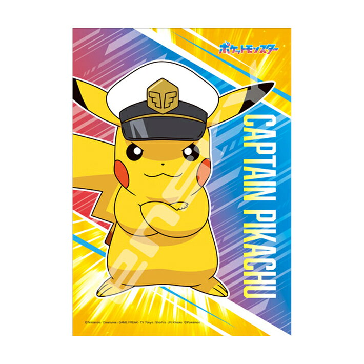楽天市場】エンスカイ 108P ポケットモンスター 108−717