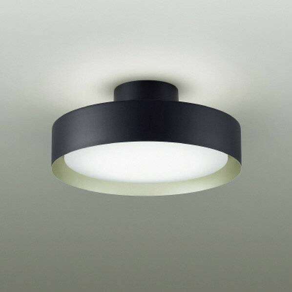 大幅値下げDAIKO DXL-81350 LEDシーリングライト 大光電機 大光電機|DAIKO LEDシーリングライト DXL-81350 1台 : DIY