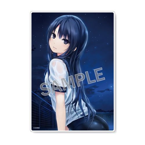 楽天市場】ブレンドリーム 珈琲貴族 アクリルポップ ホット