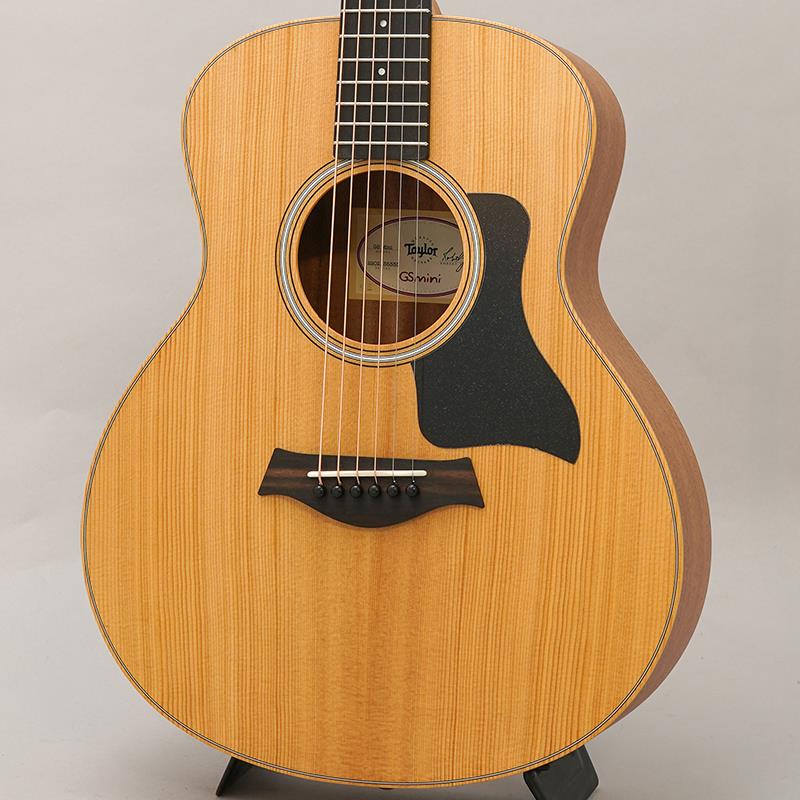 TAYLOR GS Mini