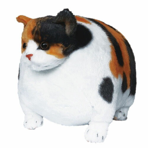 ミケ猫ページ 三毛猫（ミケ猫）の特徴や種類・オスが少ない理由・飼い方などを