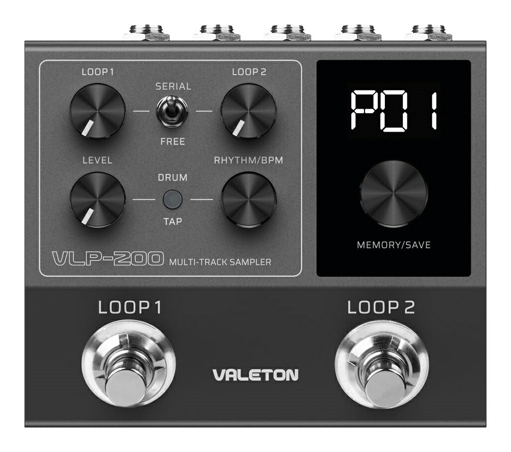 楽天市場】VALETON GP-100 | 価格比較 - 商品価格ナビ