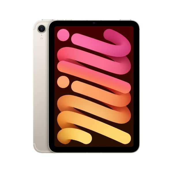 APPLE iPad mini IPAD MINI NA WI-FI+CELL 256GB