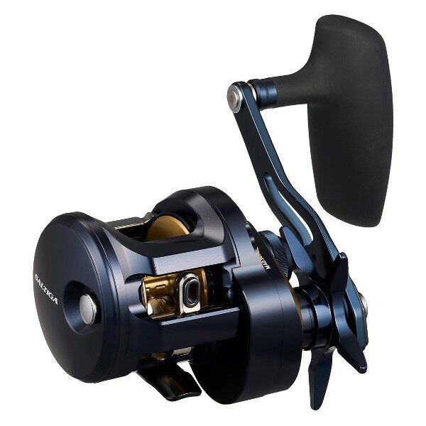 ダイワ　24LUVIAS(ルビアス) LT5000D-CXH DAIWA（釣り） 【目玉商品】ダイワ 24 ルビアス LT5000D-CXH (2024年