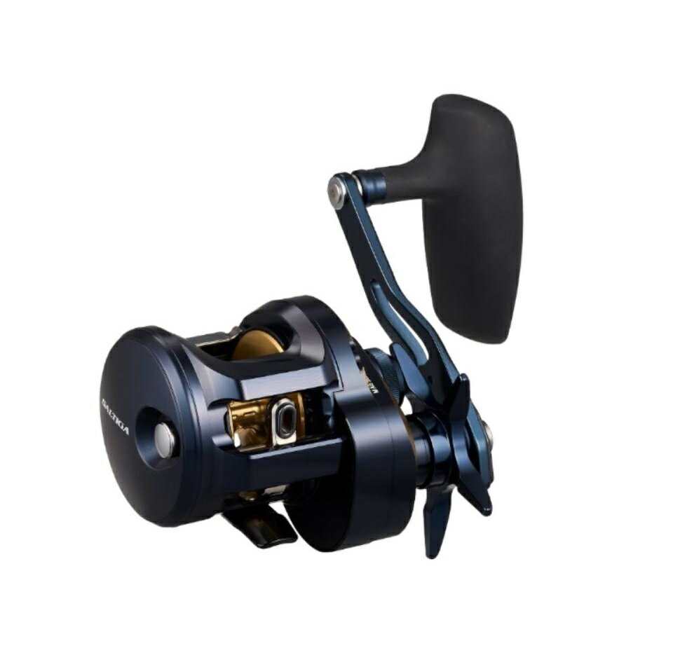 DAIWA ダイワ 25 SALTIGA 300HL 左ハンドル 8d3c116f376063a5bbedd230f226bd