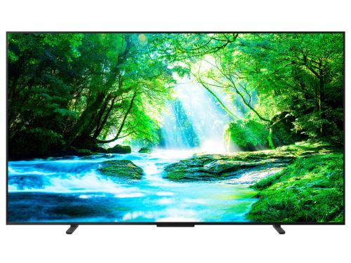 REGZA 液晶テレビ 100Z770N