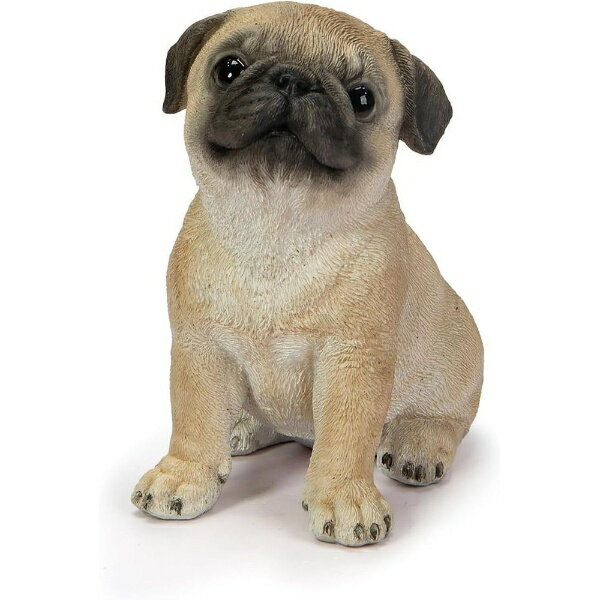 ウービア｜WooBia 頭を上げるパグ ウービア