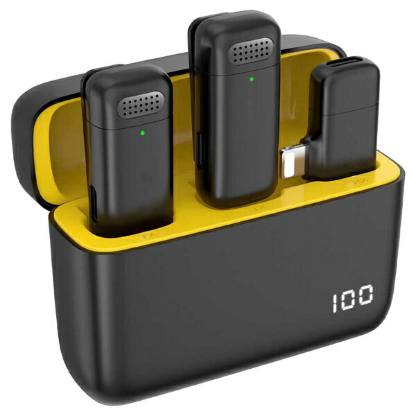 アール・エム RM-2908MIC2-L