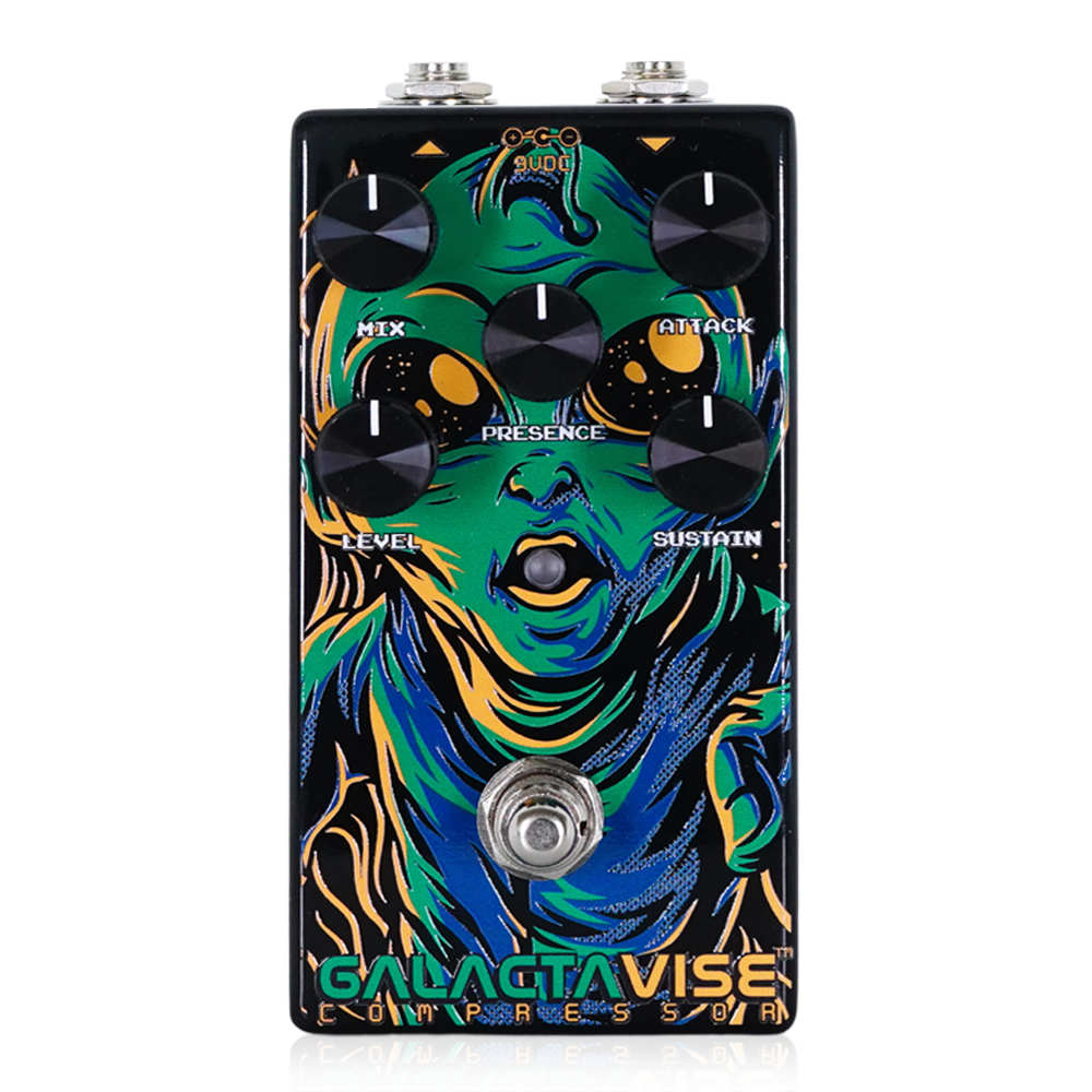楽天市場】LEP INTERNATIONAL NINEVOLT PEDALS SKATEBOARDING BEAR