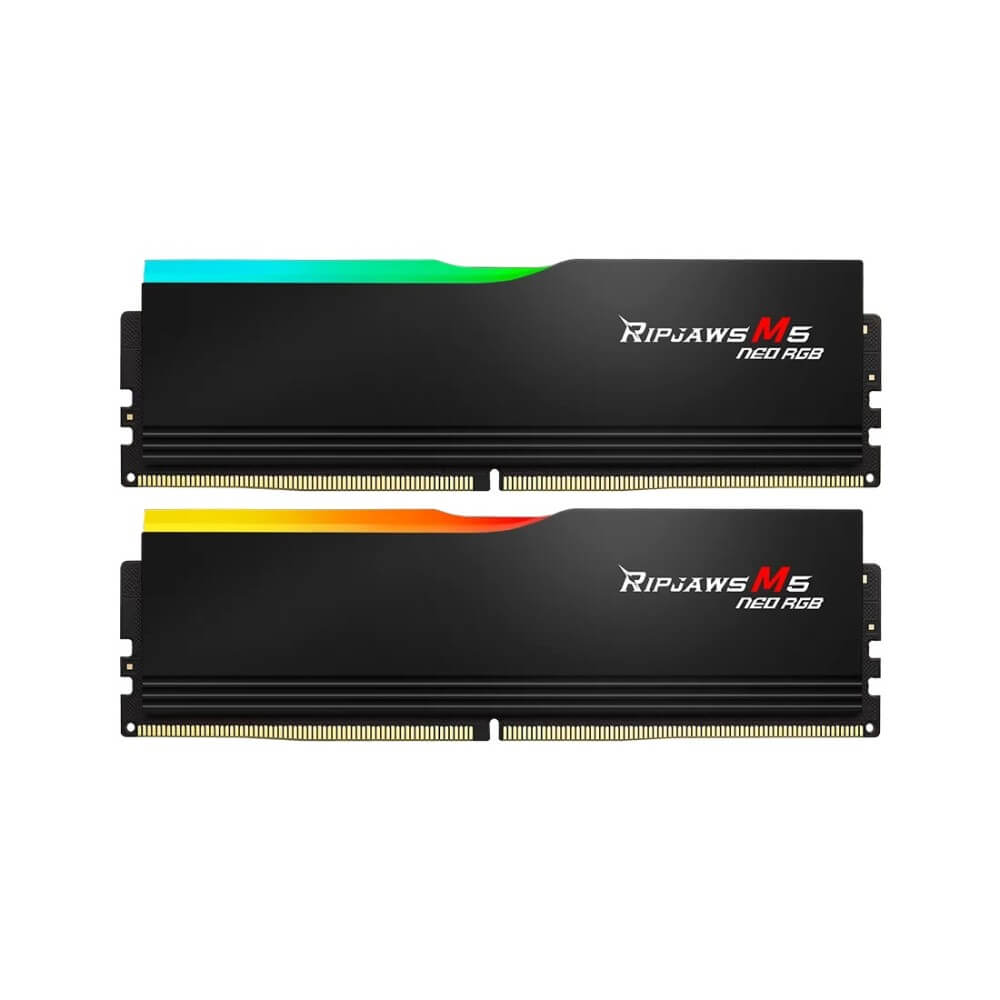 GSKILL INTERNATIONAL ENTERPRISE DDR5 F5-6000J2836G16GX2-RM5NRK