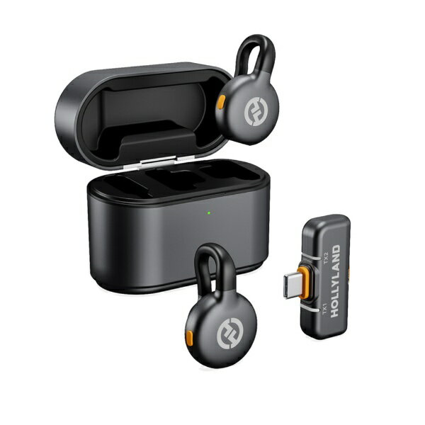 楽天市場】HOLLYLAND イヤホン Lark M2 with USB-C Plug (Duo,Shine