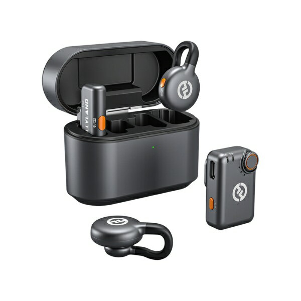 楽天市場】HOLLYLAND イヤホン Lark M2 with USB-C Plug (Duo,Shine