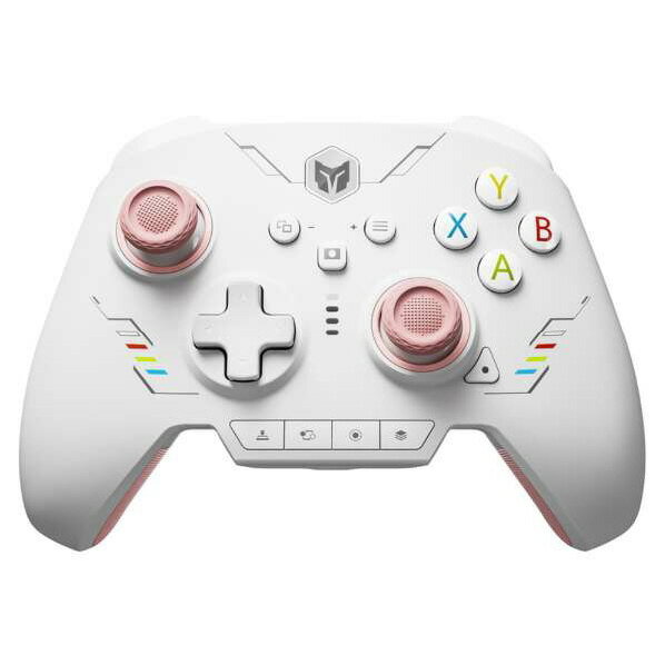 BIGBIG WON RAINBOW 2 SE PINK