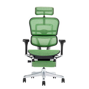 エルゴヒューマン|Ergohuman チェア W700xD665xH1150~1315mm PRO2 Ottoman ブラックフレーム グリーン 445400 EHP2-LPL-DR-BF-GN