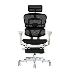 エルゴヒューマン プロ2 ハイタイプ オットマン グレーフレーム×ブラック EHP2-LPL-DR-GF-BK 新基盤 組立品