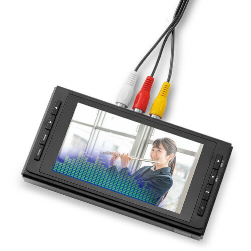 Plantec プランテック HDRX-420Ⅱ アナログ端子搭載レコーダー 楽天市場】HDRX-420II (有)プランテック HDMI入力+AVアナログ
