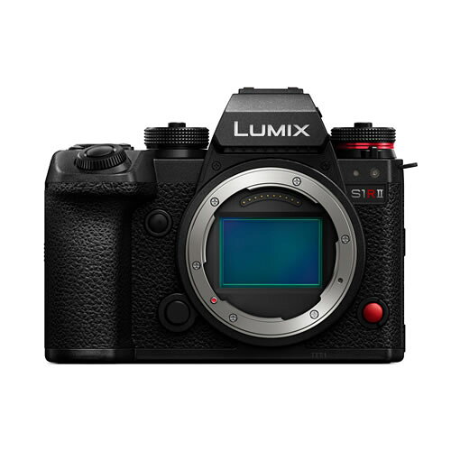 Panasonic ミラーレス一眼カメラ DC-S1RM2