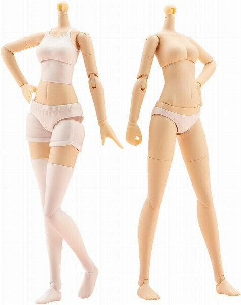 コトブキヤ 1/10 ドレスアップボディ 創彩少女庭園 プラモデル