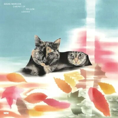 ゑでぃまぁこん Carpet Of Fallen Leaves＜限定盤＞ LP