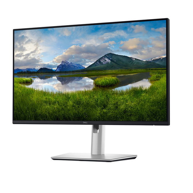 DELL 液晶ディスプレイ P2425DE