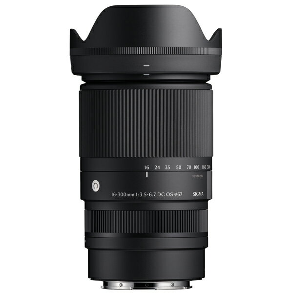 楽天市場】ソニーグループ SONY 開放F値2.0の28mm広角単焦点レンズ