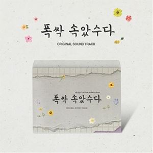 輸入盤 O.S.T NETFLIX DRAMA / WHEN LIFE GIVES YOU TANGERINES CD