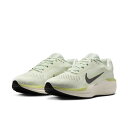 FJ9509-007-28.0 ナイキ メンズ ロード ランニングシューズ ウィンフロー11 SEA GLASS/MED ASH-OL・サイズ:28.0cm NIKE