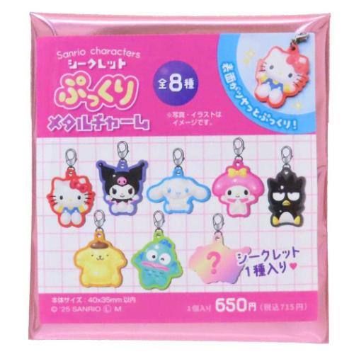 楽天市場】サンリオ サンリオキャラクターズ シークレットチャーム（冬