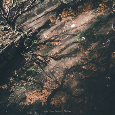 Re: Plus / Osamu Fukuzawa / Afterimage アナログレコード