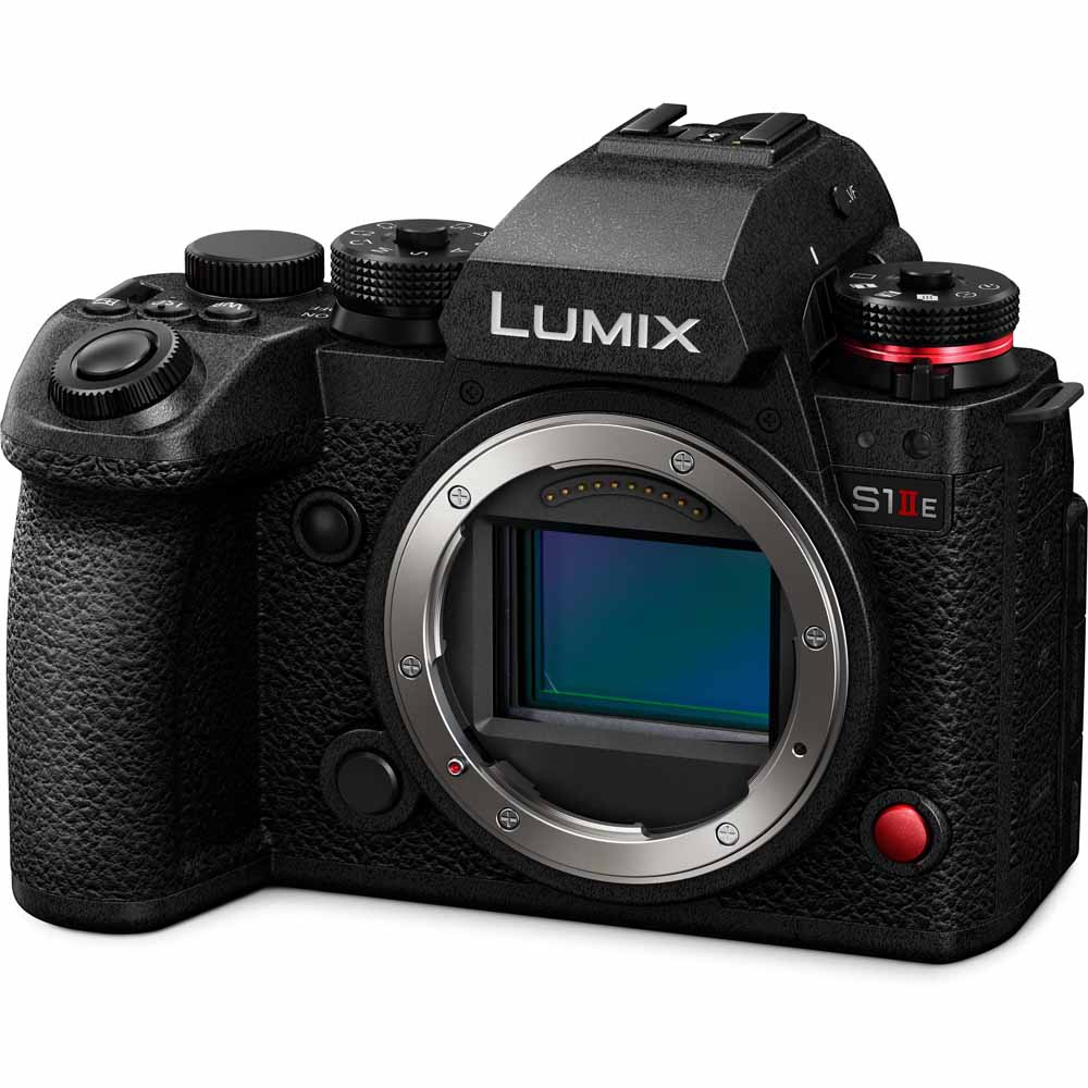 Panasonic ミラーレス一眼カメラ DC-S1M2ES