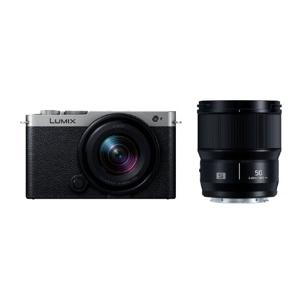 PANASONIC LUMIX DC-S9