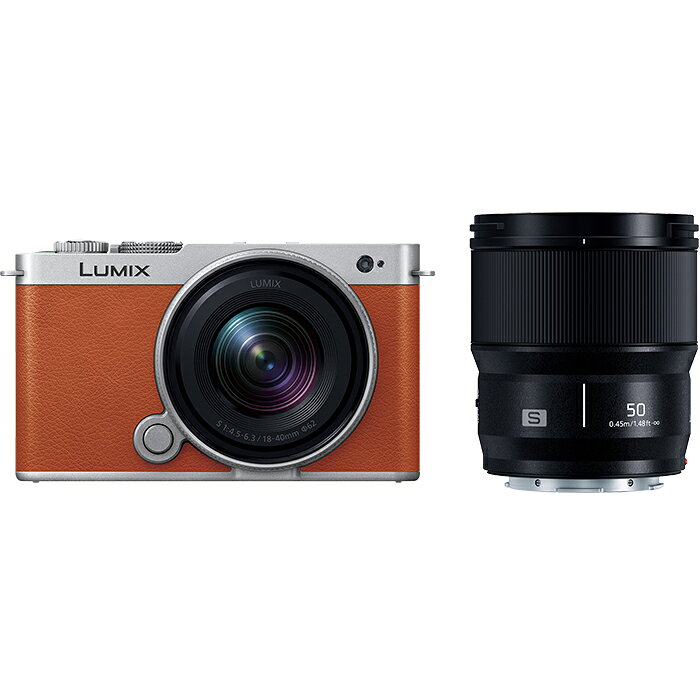 Panasonic フルサイズミラーレス一眼カメラ DC-S9W-D