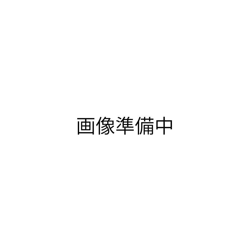 楽天市場】ヤーマン YA-MAN ブラシ型ヘアアイロン ダフニ ナノ DH1.6NG