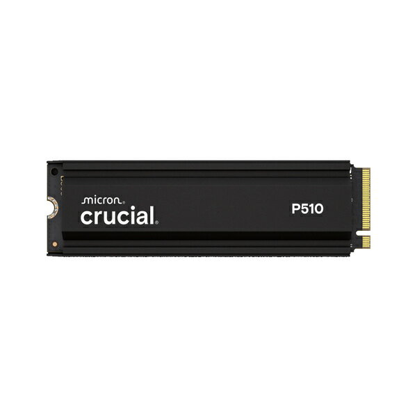 crucial SSD CT1000P510SSD5-JP