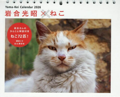 岩合光昭×ねこカレンダー ２０２６/山と渓谷社