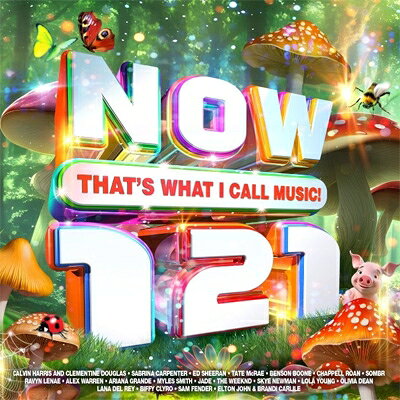 NOW（コンピレーション） / Now That’s What I Call Music! 121 (2CD) 輸入盤 〔CD〕